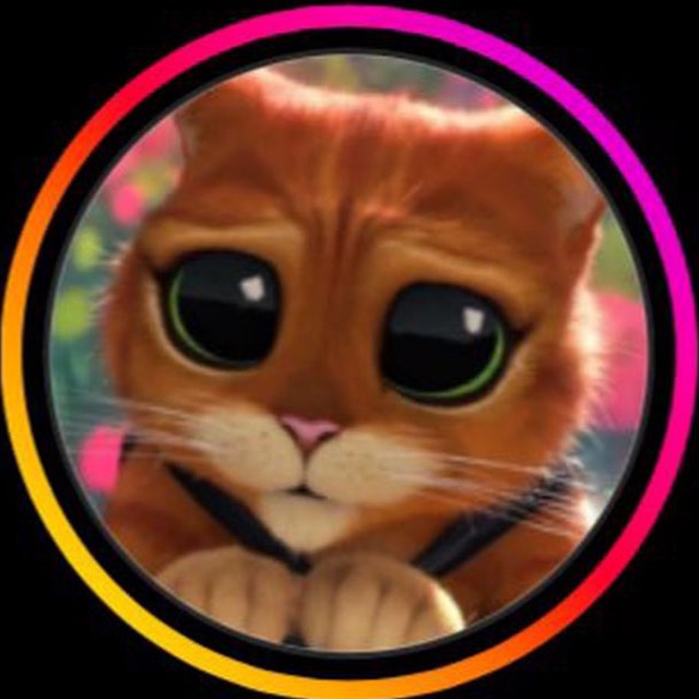 🐈 МИЛОТАКОТА 🐈‍⬛
