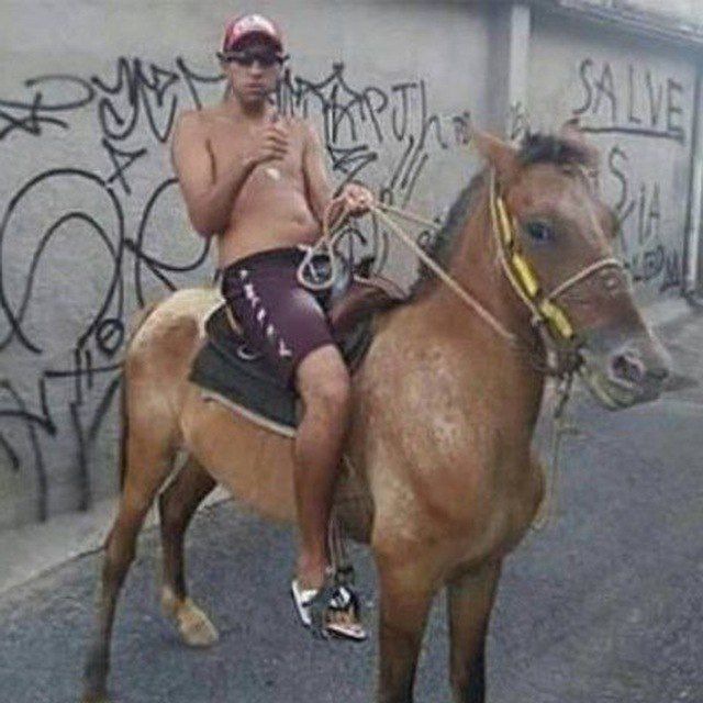 AGRO É FODA