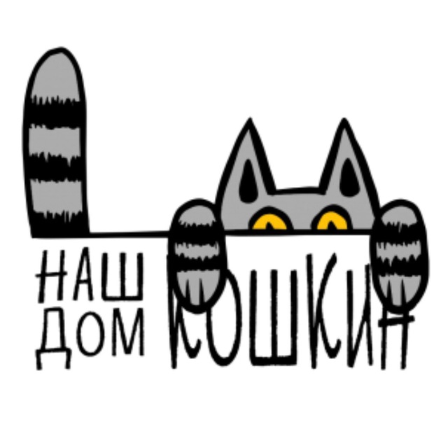 НАШ КОШКИН ДОМ приют котиков
