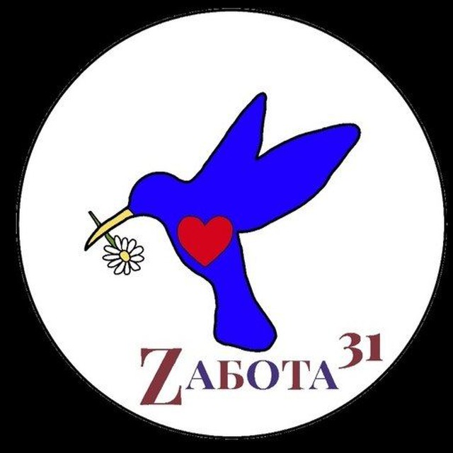 Zабота 31