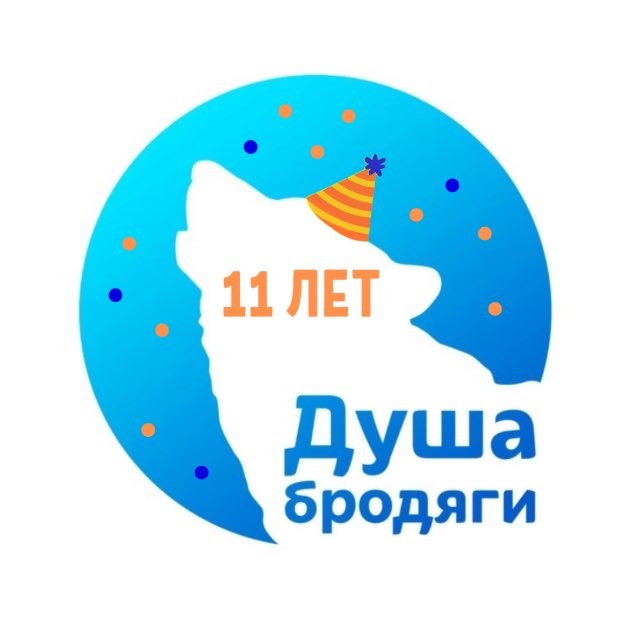 Приют «Душа Бродяги»