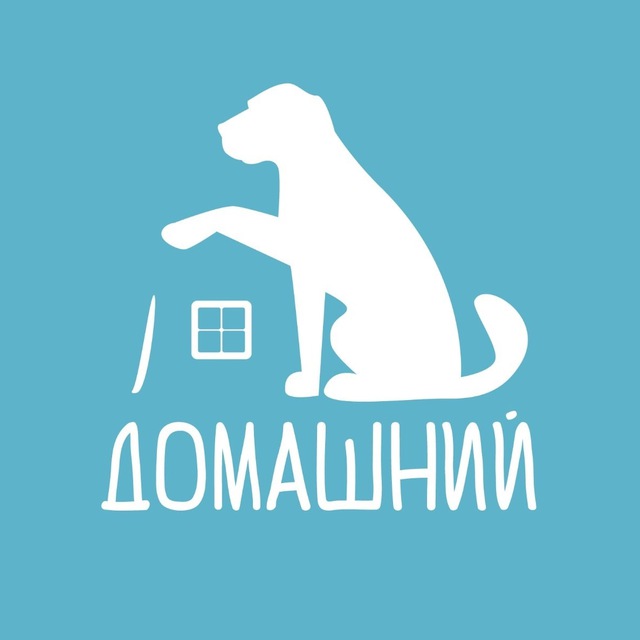 Приют "Домашний": "Выбери меня!"