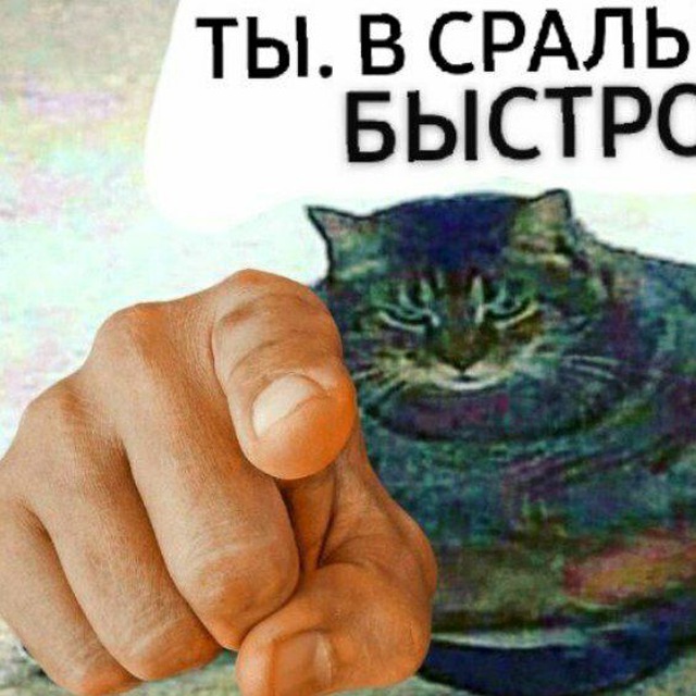 Сегодня я спиздила мем🐁