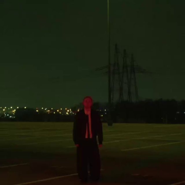 диэл