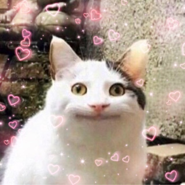 Memasius🐱