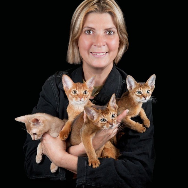 PETROVNACATS