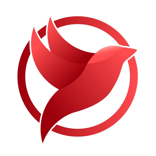 demo-info.at