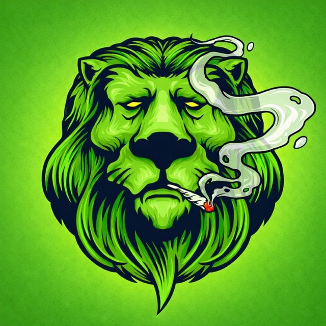 𝗣𝗥𝗢 𝗧𝗥𝗔𝗗𝗜𝗡𝗚 🔰