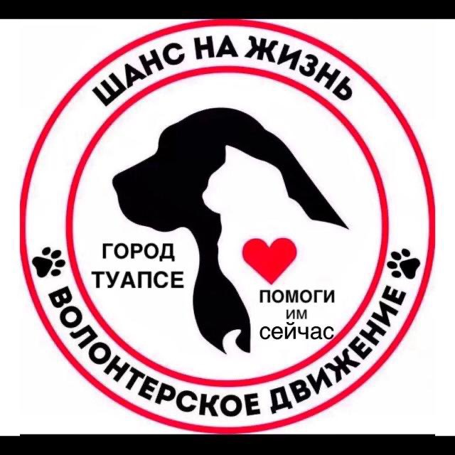 Шанс на жизнь Туапсе