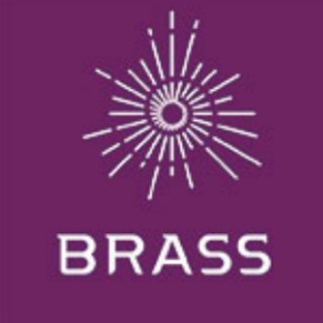 Мебельная и дверная фурнитура BRASS