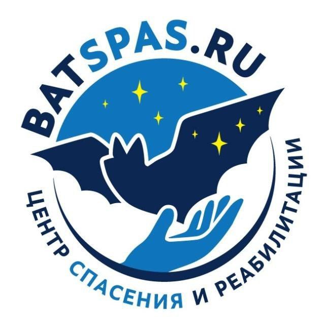 🦇 batspas 🦇