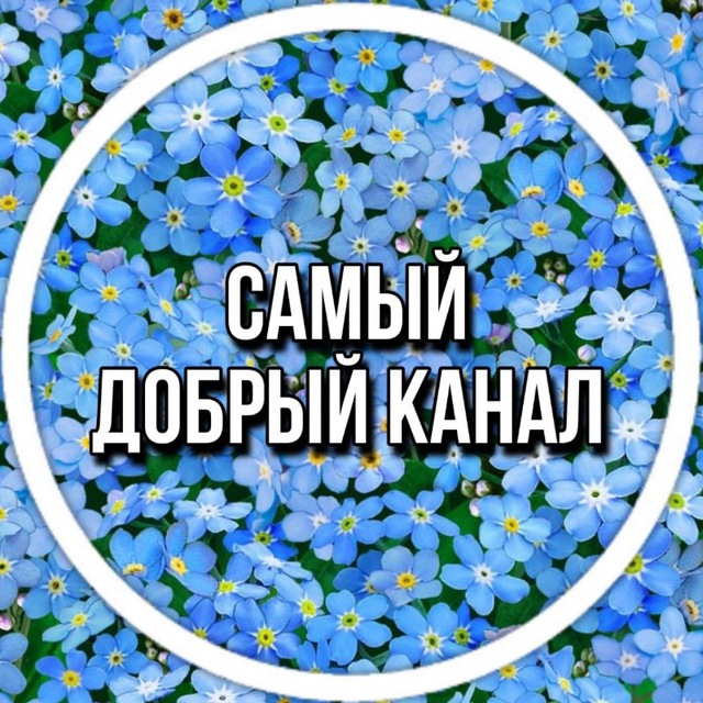 Самый добрый канал