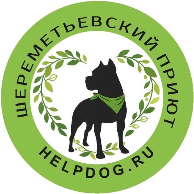 helpdog.ru