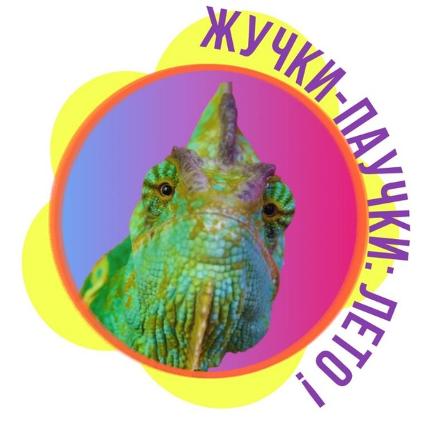 ЖУЧКИ-ПАУЧКИ