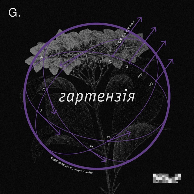 гартензія