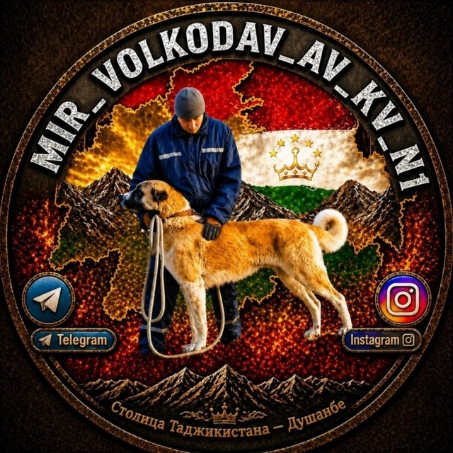 @Mir_volkodav_av_kv_n1