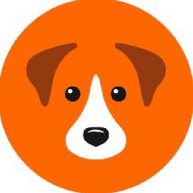 Муниципальный приют для собак в Химках (GetDog)