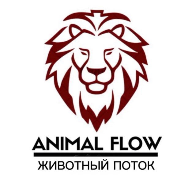 ANIMAL FLOW с Анастасией Канивец