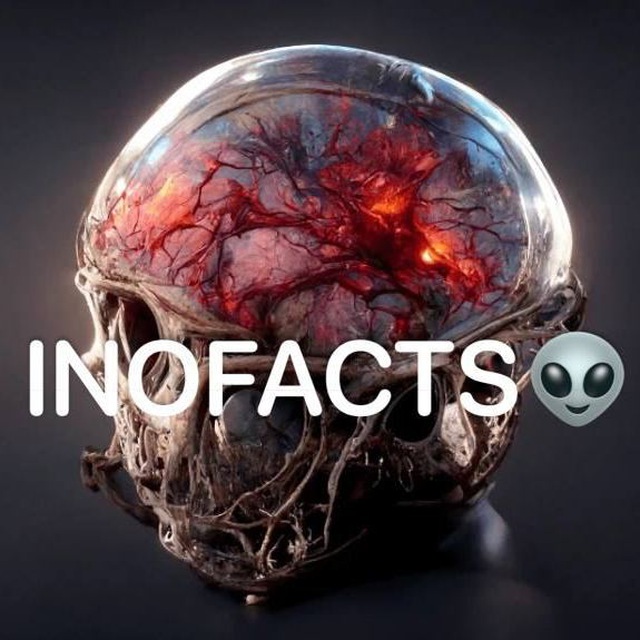 INOFACTS👽