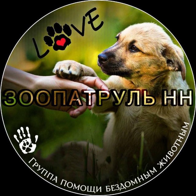 ЗООПАТРУЛЬ НН