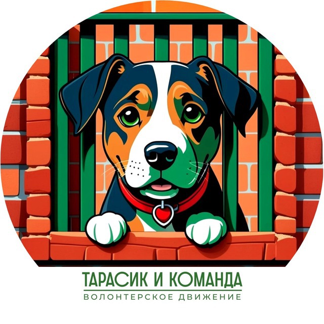 Тарасик и команда © official