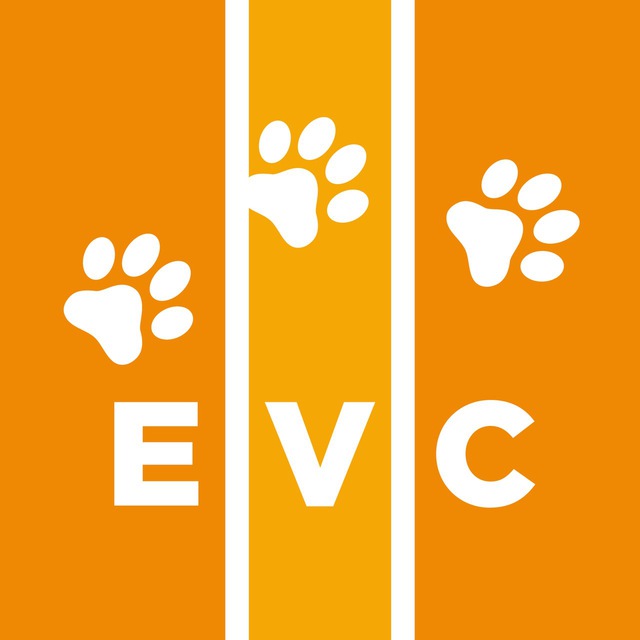 Ветеринарная помощь | Госпиталь EVC