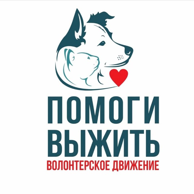 Волонтеры. Якт