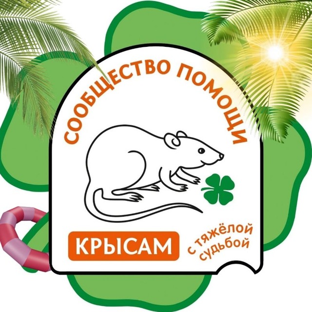 Сообщество помощи крысам с тяжелой судьбой