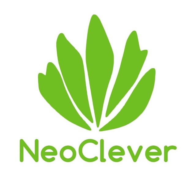 Онлайн-школа NeoClever