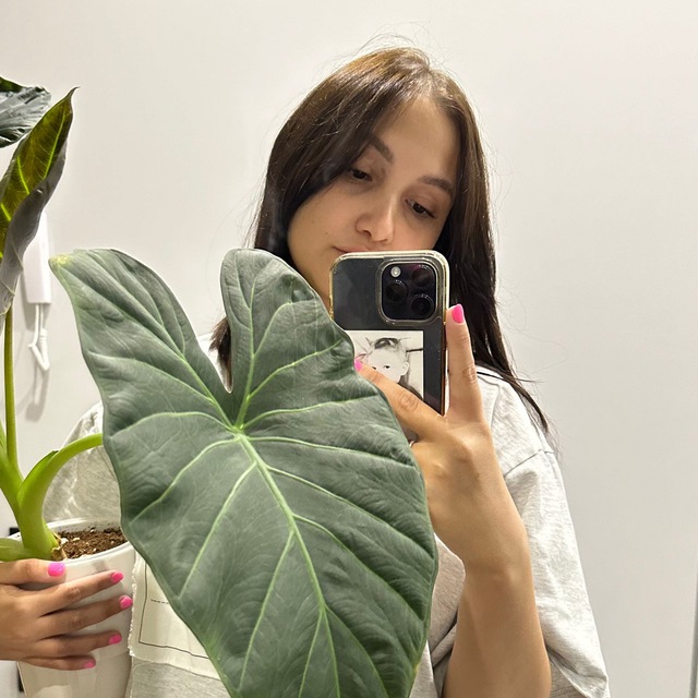 Mari’s plants 🪴