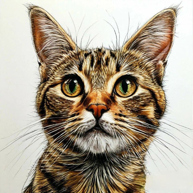 Мир мурчащих котов