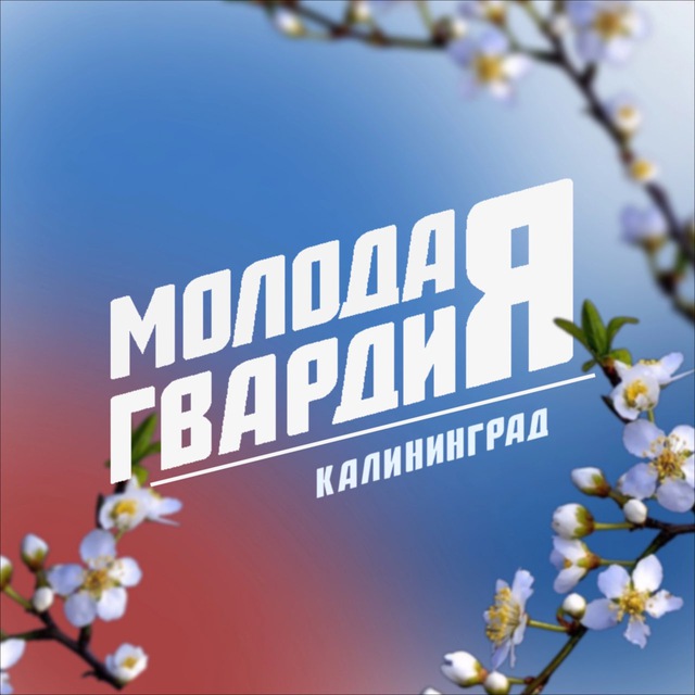 Молодая Гвардия | Калининградская область