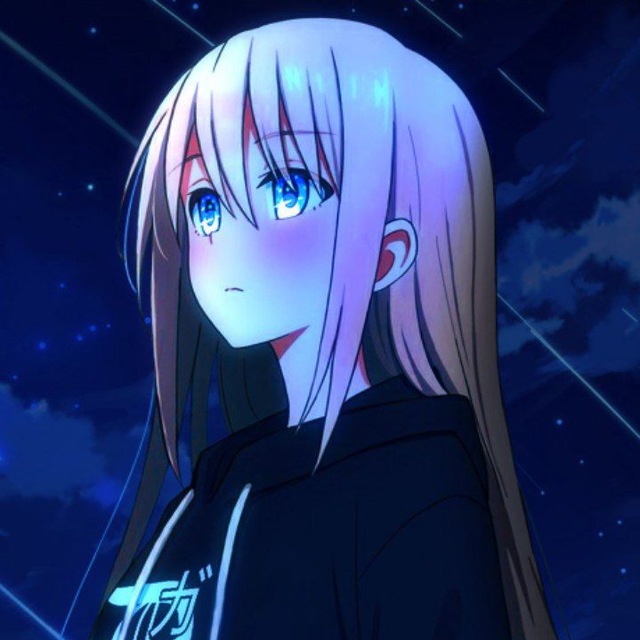 Anime Fun