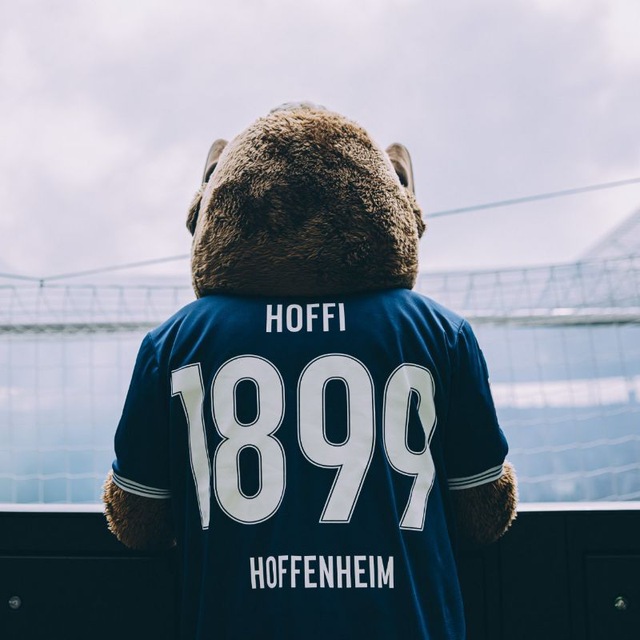 TSG 1899 Hoffenheim | Хоффенхайм
