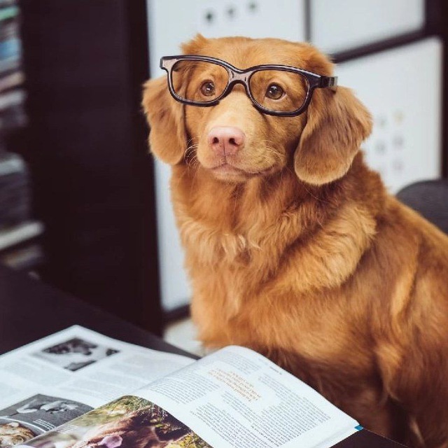 📚 Книжный клуб "На карандаш"