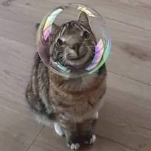 Strange Horny
