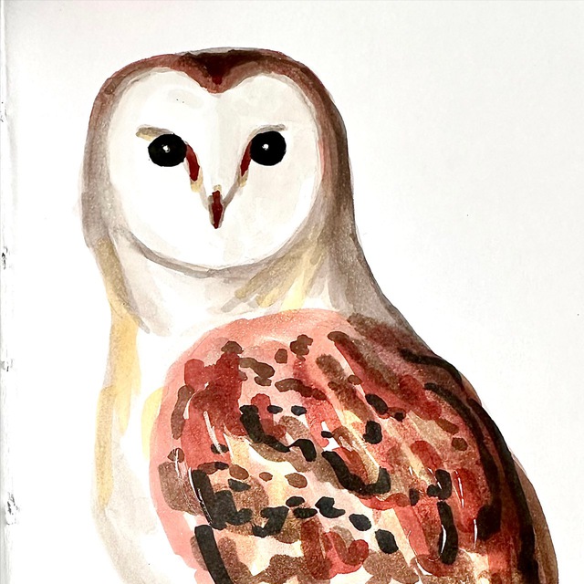 darksowl