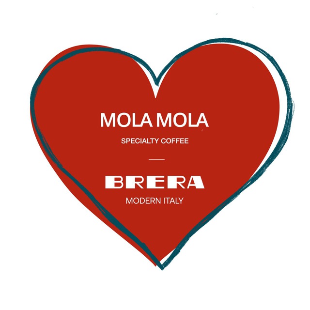 Mola Mola | Brera Brera