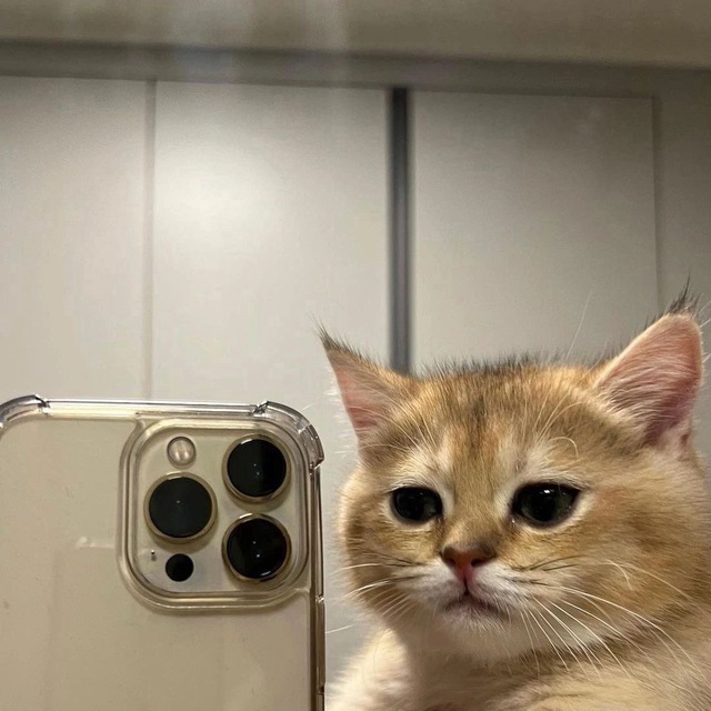 cat core [strange catposting^^]
