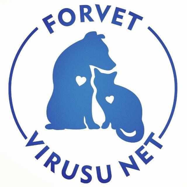 Форвет