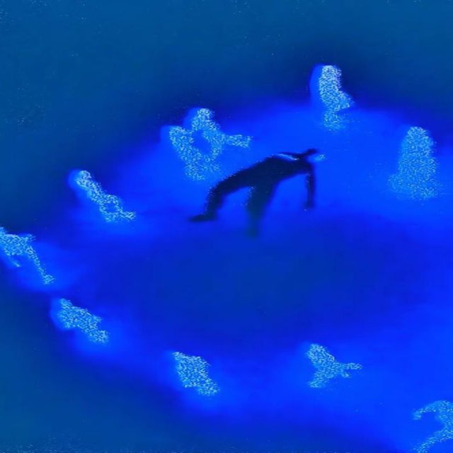ᅟ