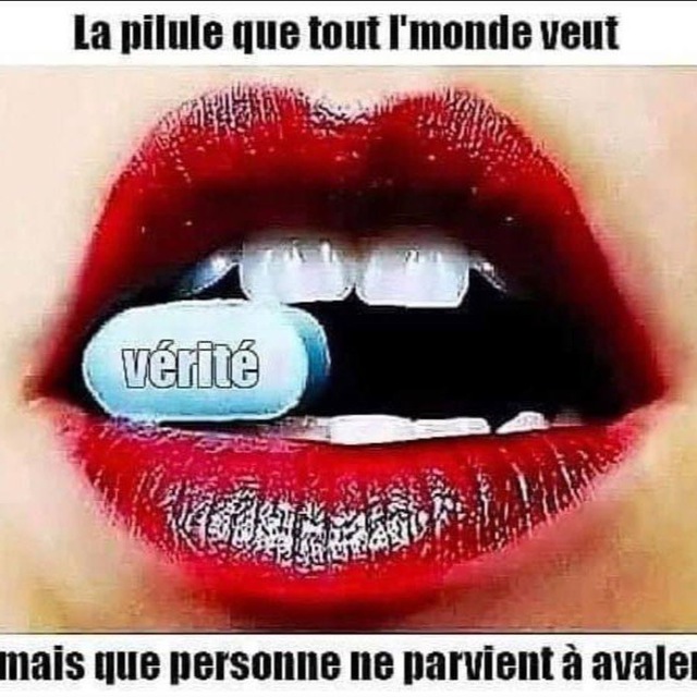 L’éveil 2022