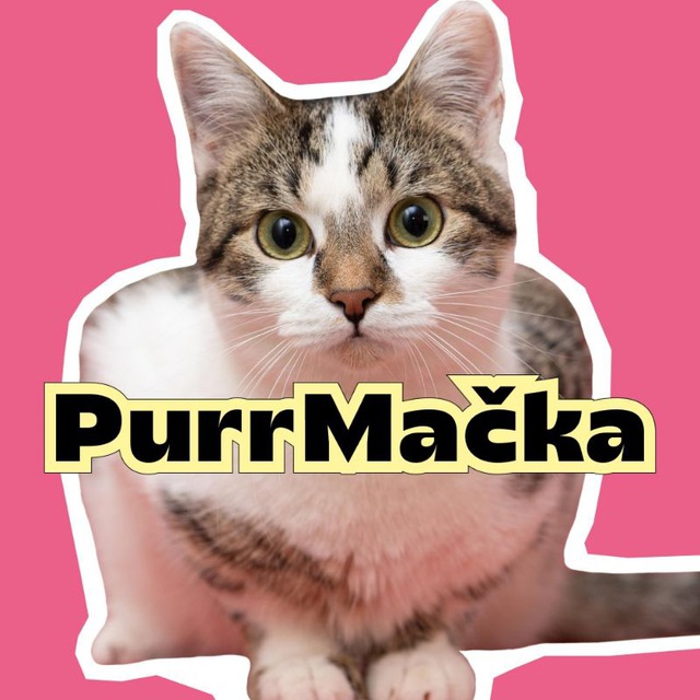 PurrMačka