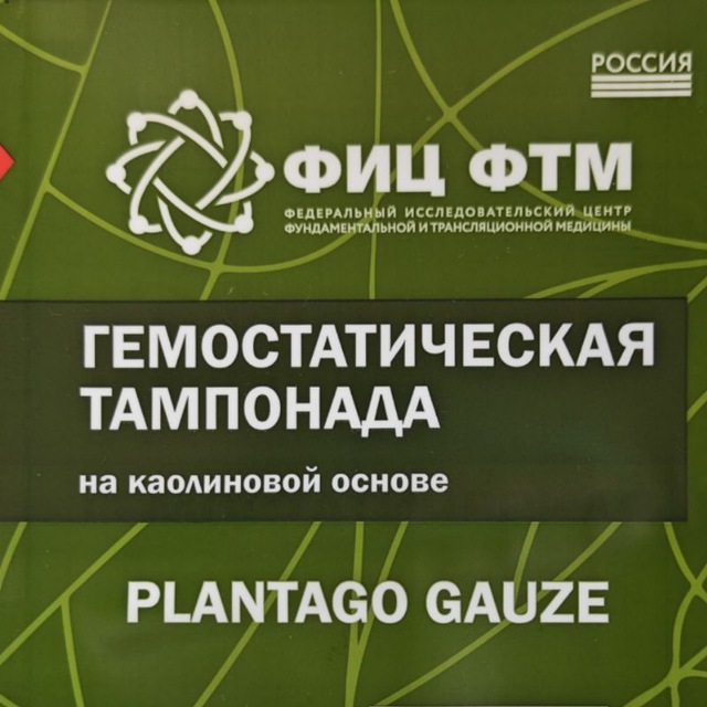Plantago Gauze