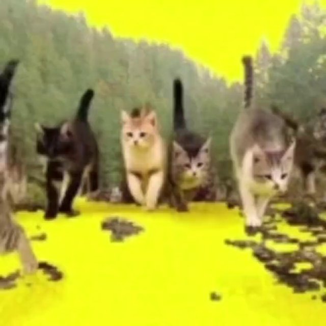@bowisss