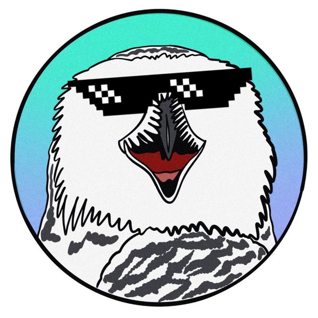Биполярная сова 🦉 | Мемы и Юмор