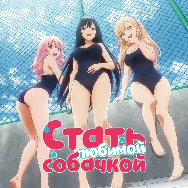 Стать любимой собачкой