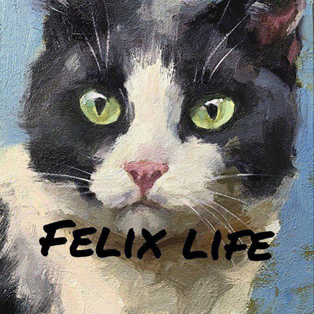 Felix (архив)