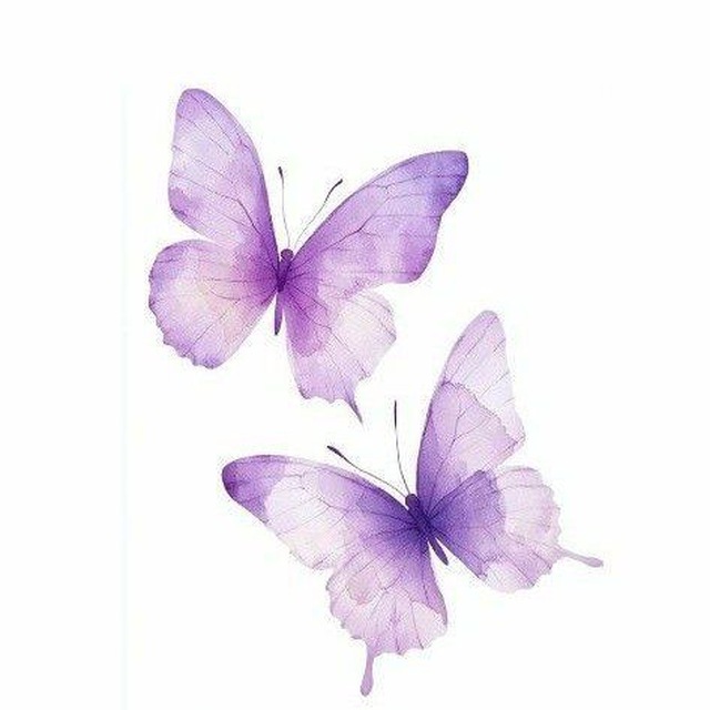 Я и моя жизнь 🌸🦋