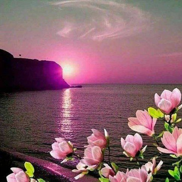 Чудо-природа